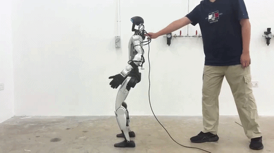 adapt.gif