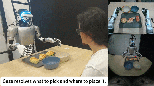 gaze2act.gif